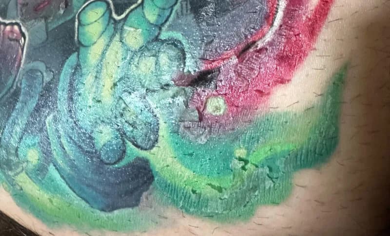 tatu en proceso de curacion