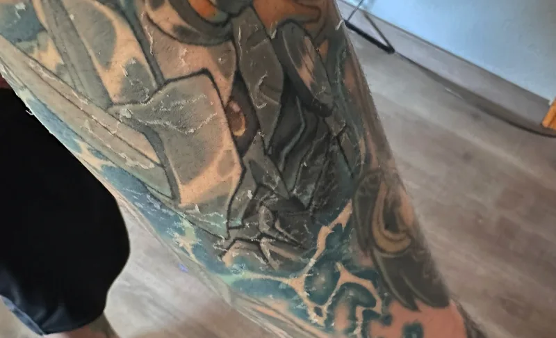 tatu en proceso de curacion